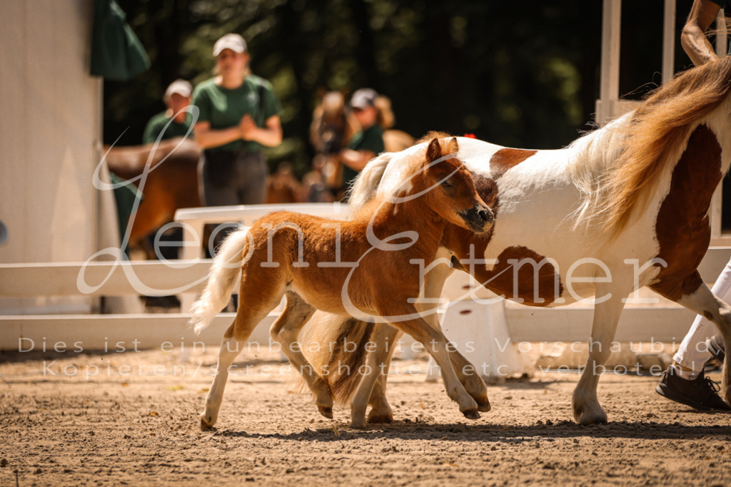 01.DoKR00111 | Leoni Ertmer Photography - Realisiert mit Pictrs.com
