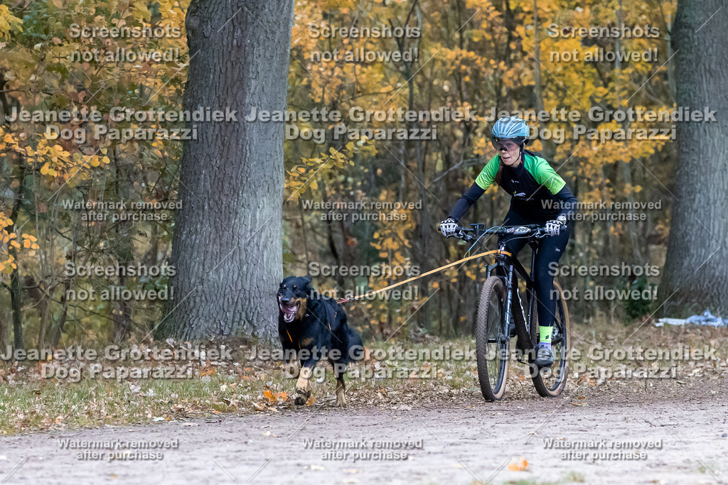 Dog Paparazzi - SD CaniX Championship 2025-244 | Dog Paparazzi Jeanette Grottendiek Fotografie & Videografie - Realisiert mit Pictrs.com