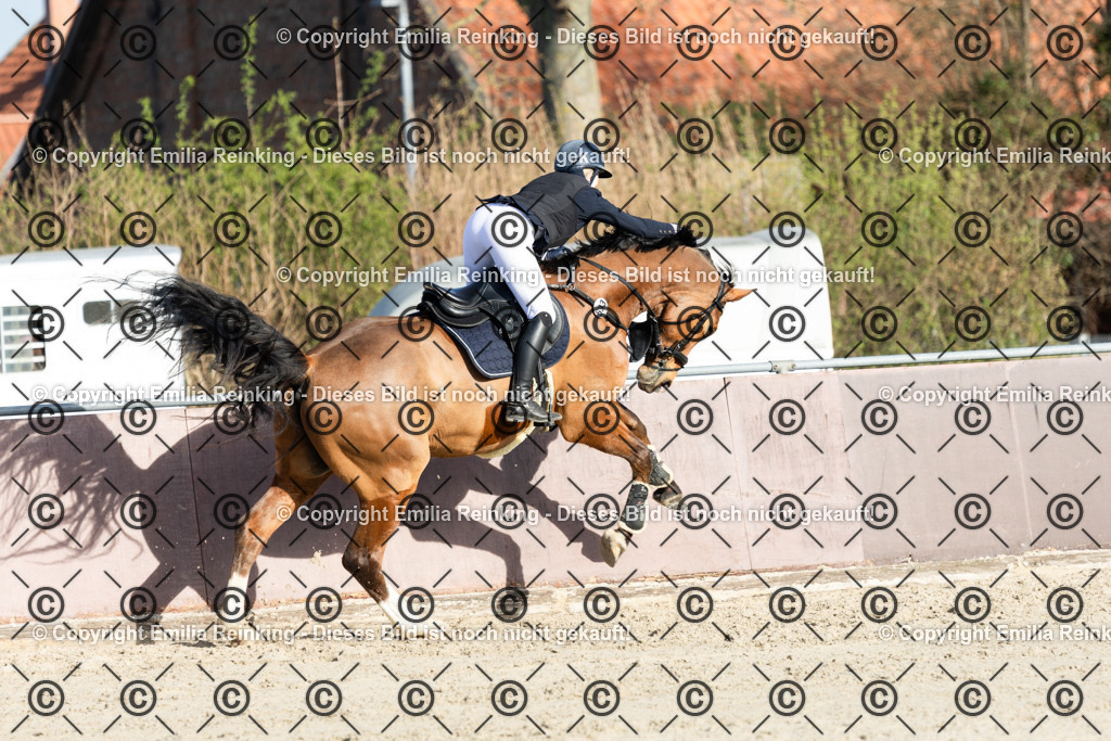 CL5A6144 | Emilia Reinking Fotografie - Realisiert mit Pictrs.com