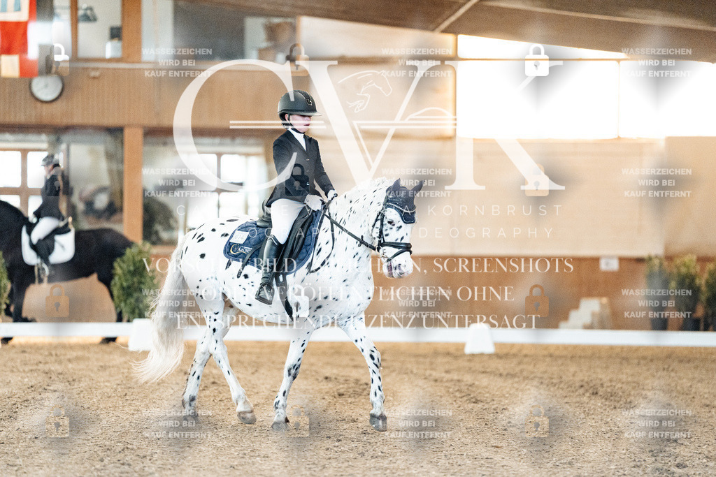 CK906366 | Turnierfotografie Pferdefotografie Trier Rheinland-Pfalz Pferdesport Reitsport Tierfotografie Sportfotografie Pferdevideo Pferdevideografie Equestrianvideography equestrianphotography  - Realisiert mit Pictrs.com