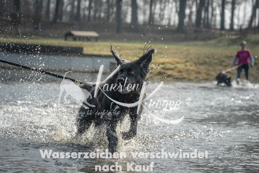 1019_ZZ96677 | kk-dogfotos