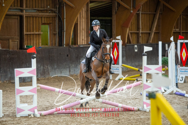 IMG_1835 | Turniersportfotografie; Pferdefotografie; Dressurfotografie