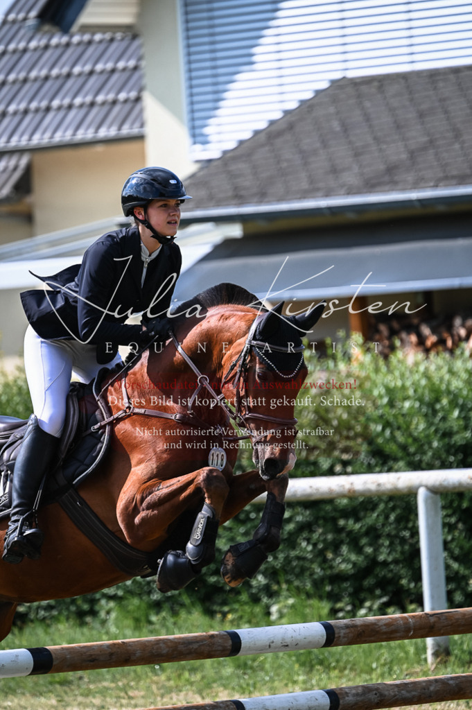 DSC_7915 | Pferde- und Turnierfotografie in Westsachsen. Pferdeportraits, Auftragszeichnungen und intuitive Kunst.