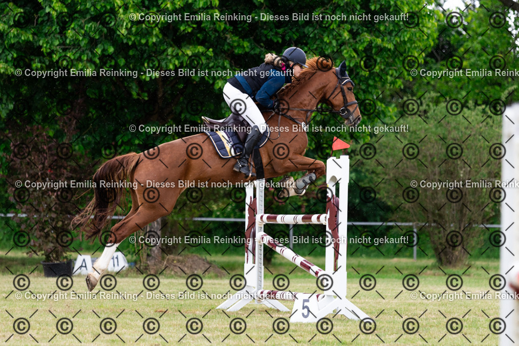 CL5A6565 | Emilia Reinking Fotografie - Realisiert mit Pictrs.com