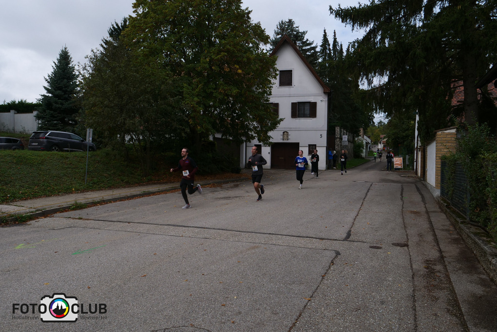 P1017271 | Foto Buchgraber