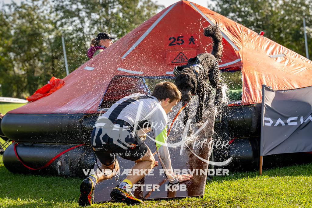1112-91822 | kk-dogfotos