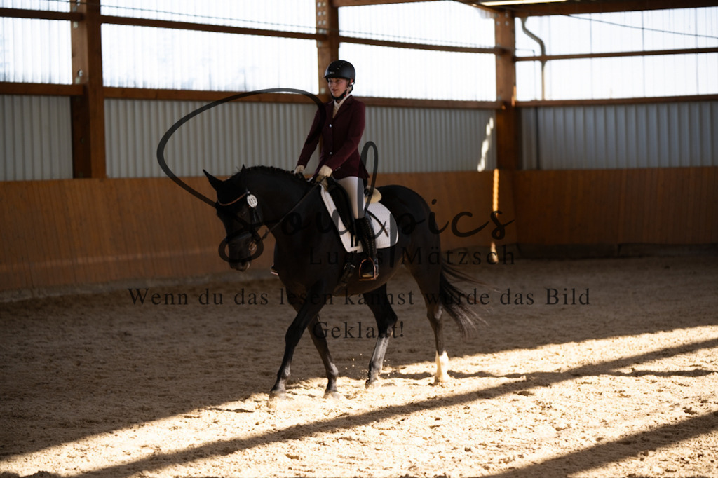 A7V01925 | Pferdefotograf