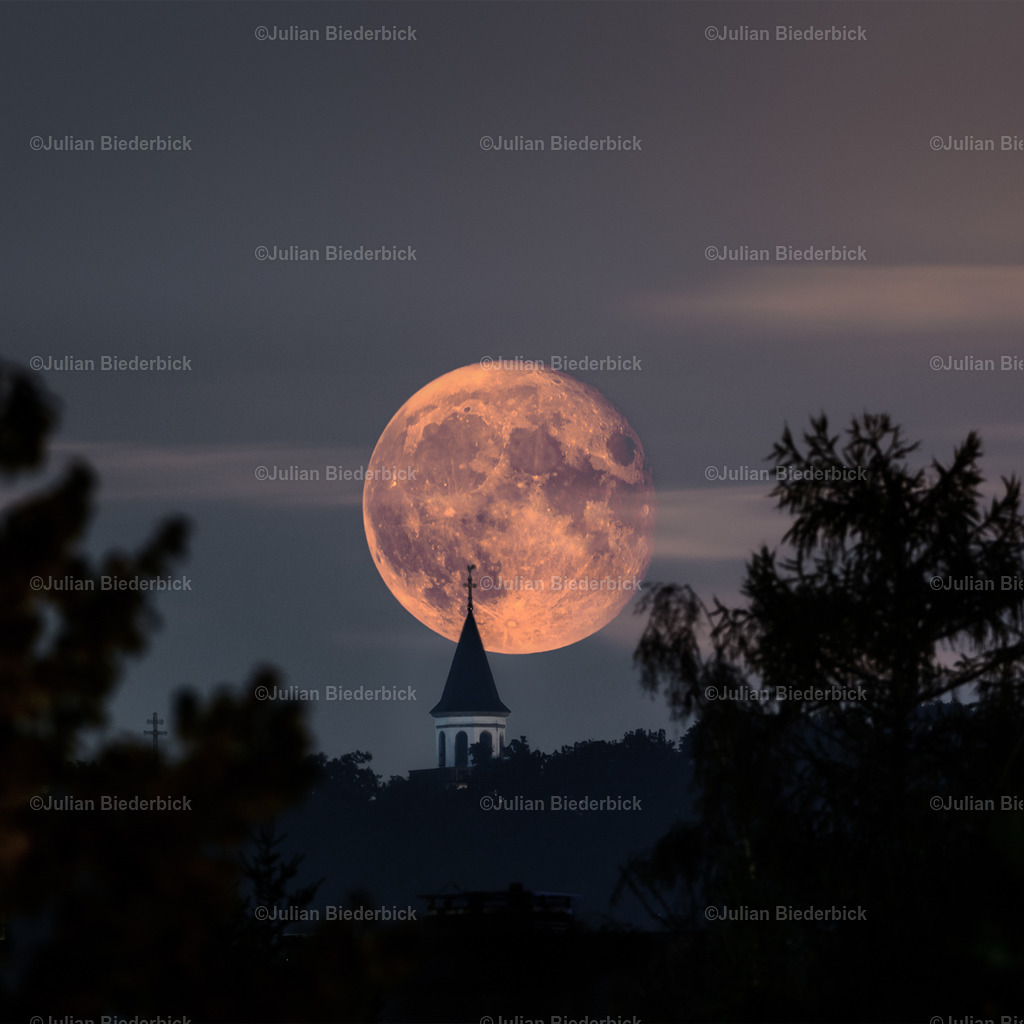 N78_4260-Bearbeitet | Julian Biederbick - Realisiert mit Pictrs.com