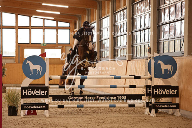 1J2A6806Franziska Klöpper_ Cetellus_ Kn110_ Glantz_ Hohen Wieschendorf | Foto- und Videografie für alles rund ums Pferd. Hochwertige Bilder und Videos vom Spring- und Dressurreiten, Voltigieren & mehr. Jetzt aktuelle Veranstaltungen und Preise im Shop ansehen. - Realisiert mit Pictrs.com