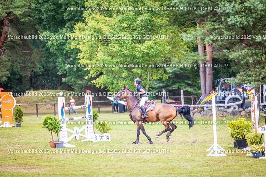 RFVH07534 | “Moin Moin Design – Kreatives Grafikdesign aus Norddeutschland! Wir gestalten individuelle Logos, Flyer, Plakate und Webdesign mit Leidenschaft und Präzision. Jetzt inspirieren lassen!”