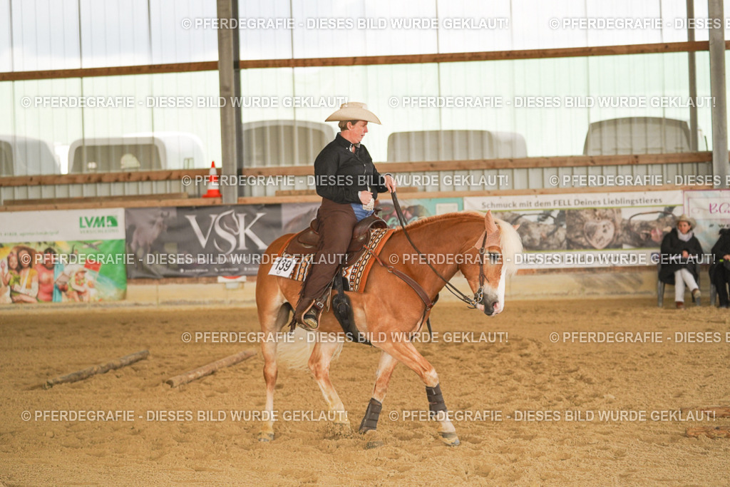 DSC02828 | Pferdegrafie