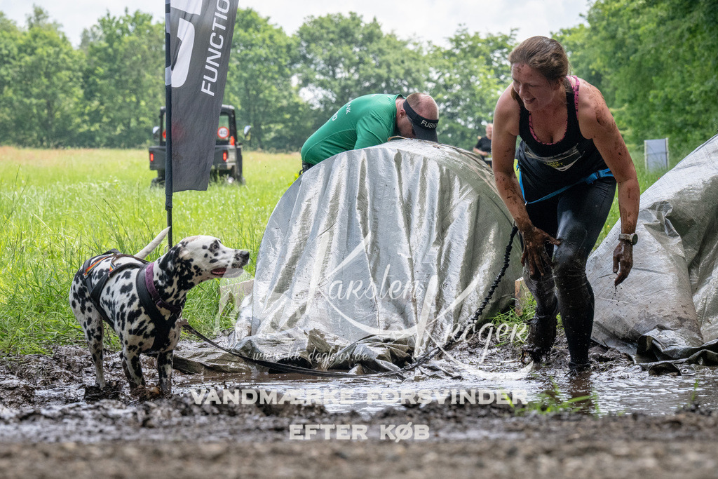 1138_ZZ93559 | kk-dogfotos