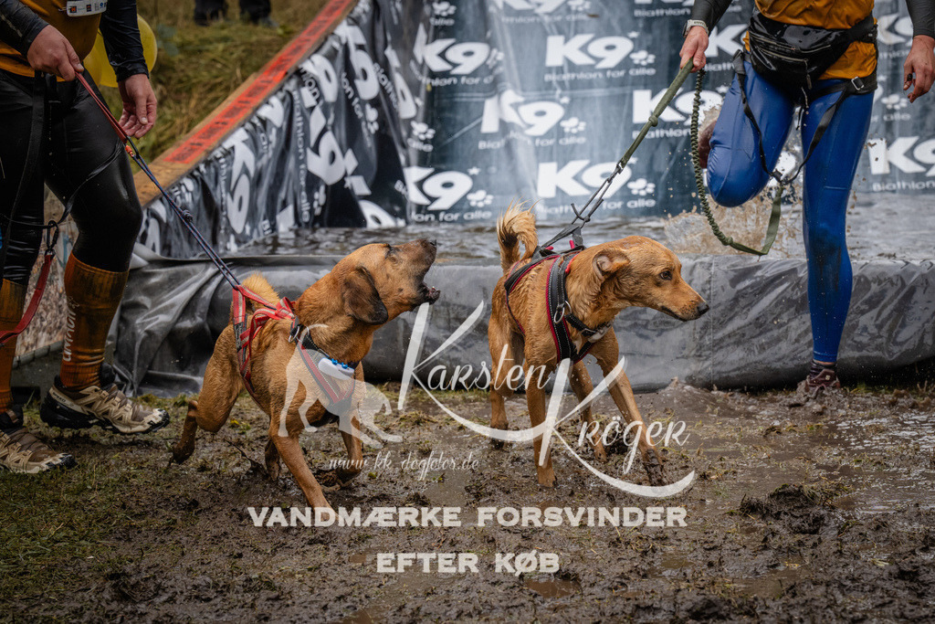 1253_ZZ90795 | kk-dogfotos