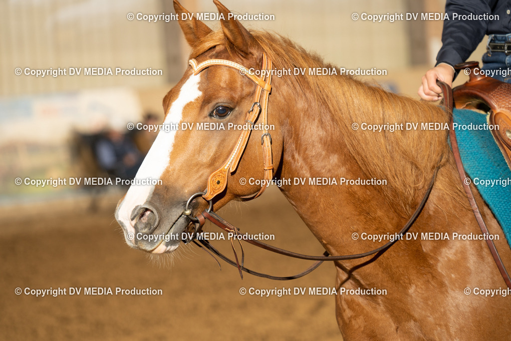 LAU00600 | dv-media-shop - Realisiert mit Pictrs.com