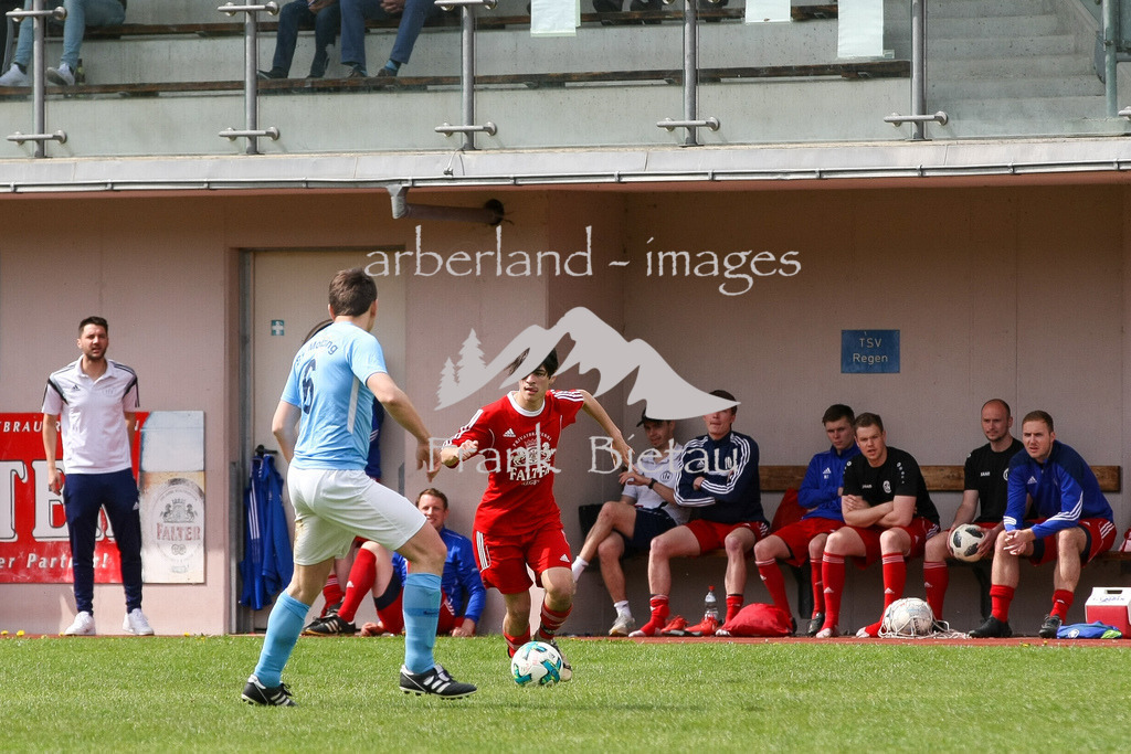 993T8166 | Medien- Sport- Entertainmentfotos