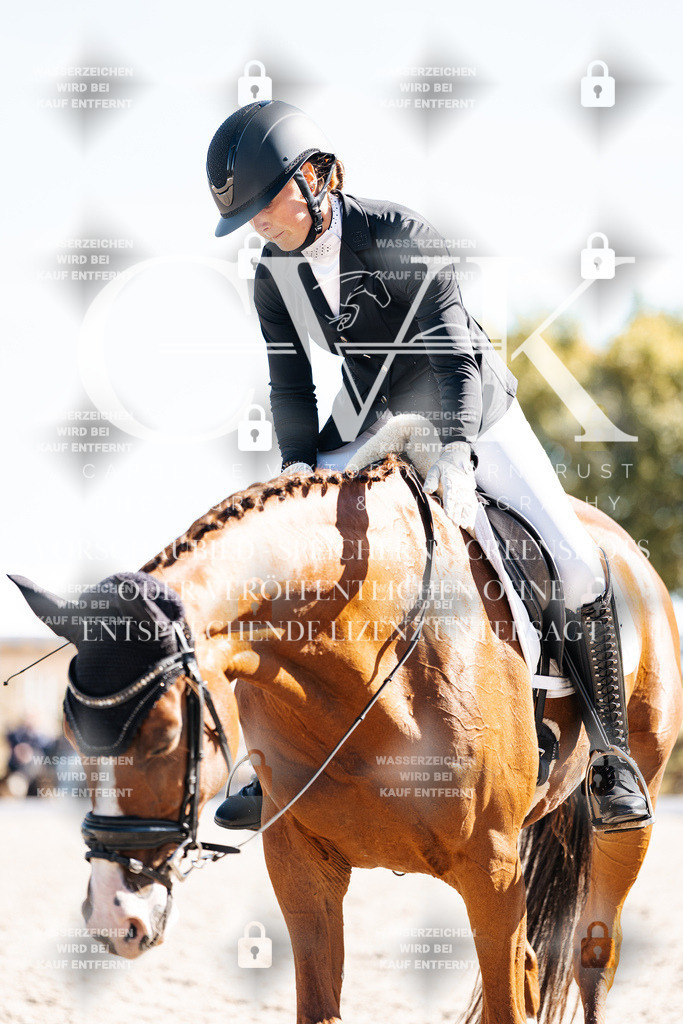 CK909209 | Turnierfotografie Pferdefotografie Trier Rheinland-Pfalz Pferdesport Reitsport Tierfotografie Sportfotografie Pferdevideo Pferdevideografie Equestrianvideography equestrianphotography  - Realisiert mit Pictrs.com