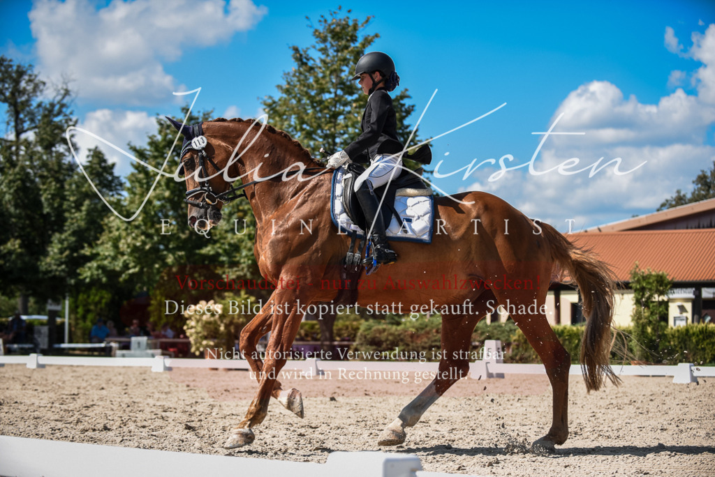 DSC_9523 | Pferde- und Turnierfotografie in Westsachsen. Pferdeportraits, Auftragszeichnungen und intuitive Kunst.