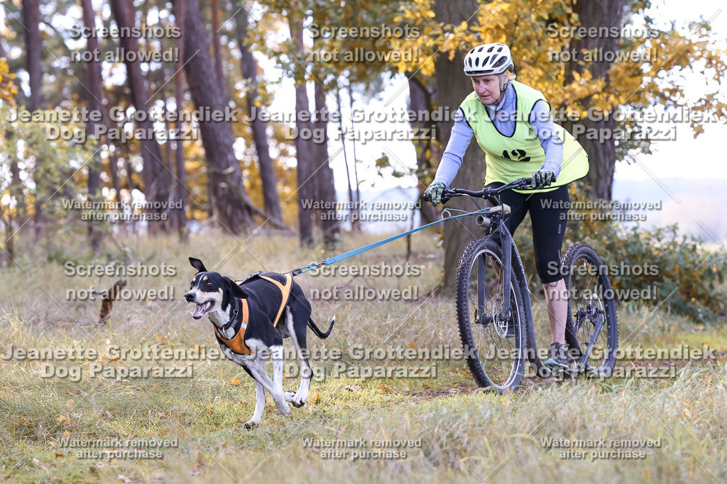 Dog Paparazzi - Elsholz 25 -166 | Dog Paparazzi Jeanette Grottendiek Fotografie & Videografie - Realisiert mit Pictrs.com