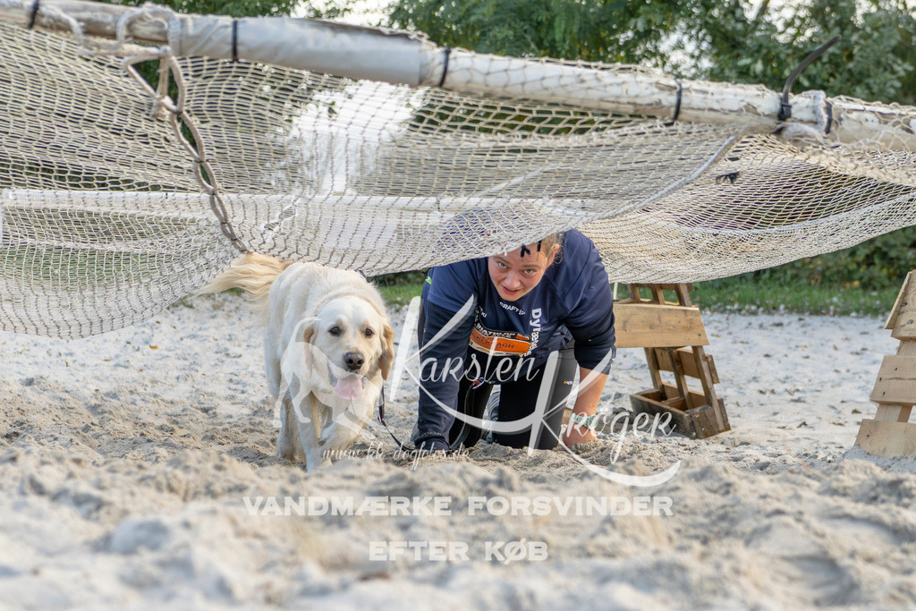 1637_ZZ98067 | kk-dogfotos