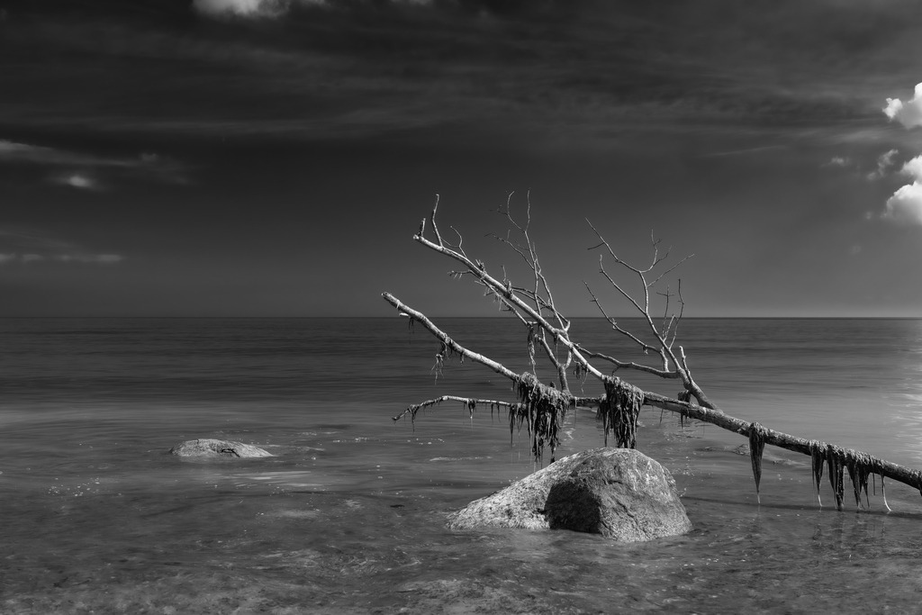 2025_04_16_TRAVEMUENDE_MCP8031 sw | Hochwertig gedruckte Fotografien für die Wand, als Kalender und zum Verschenken. Hamburg & Norddeutschland und überall wo ich mit der Kamera unterwegs war.