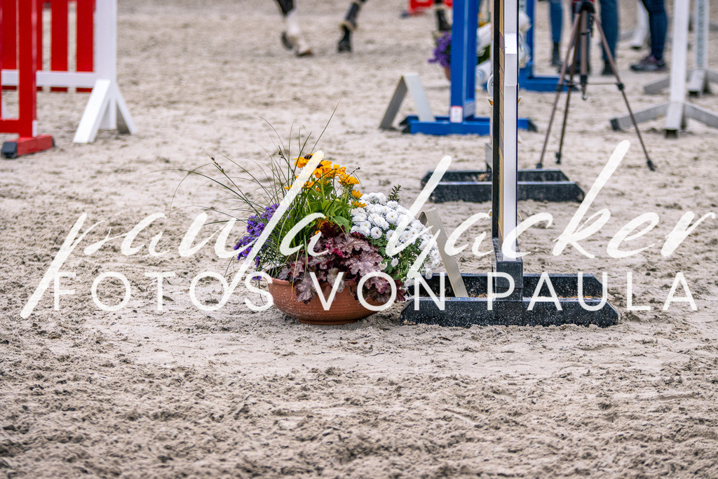 IMG_6174 | Erleben Sie dynamische Sport- und emotionale Tierfotografie in Süddeutschland mit Fotos von Paula. Spezialisiert auf Pferde- und Hundefotografie sowie Sportevents. Kontaktieren Sie mich für einzigartige und ausdrucksstarke Bilder Ihrer besonderen Momente.