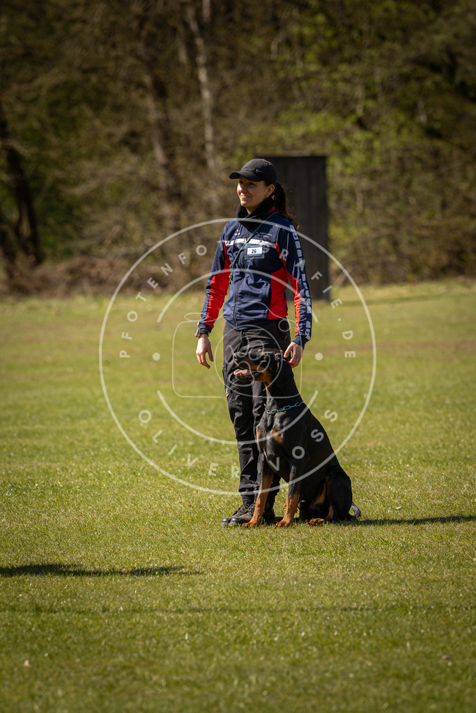 Pfotenfotografie_DV3A0809 | Hundefotografie, Tierfotograf, Pfotenfotografie, Fotoshooting Hund, Hunde Portrait, Hundesport, Hundeportraits, Heideshooting, Hunde, Sportfotograf, Hundefotograf, Turnierhundsport, THS,  - Realisiert mit Pictrs.com