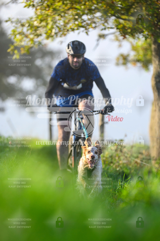 MompixPhotography_20TSB_E3_Bike-157 | PayLife