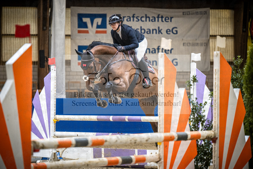 DOS_1390 | Entdecke hochwertige Reitturnierfotos von Foto Oger. Professionell, emotional und authentisch – jetzt Lieblingsmomente im Shop bestellen.Deutschlandweite Turnierfotografie. - Realisiert mit Pictrs.com