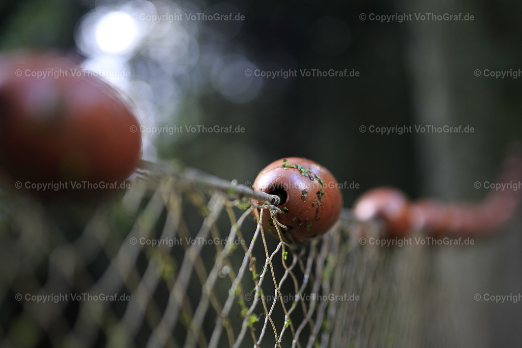 2017-10-03-9999_17 | Fischernetz zum Trocknen - Realisiert mit Pictrs.com