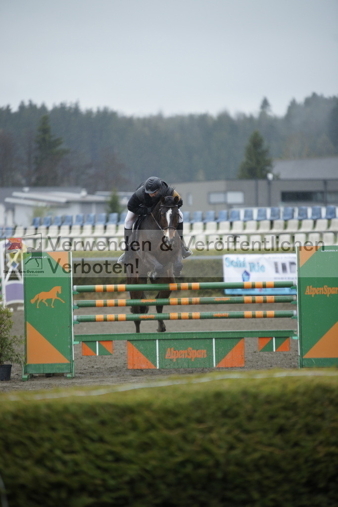 _DSC6183 | equestrian-live-com