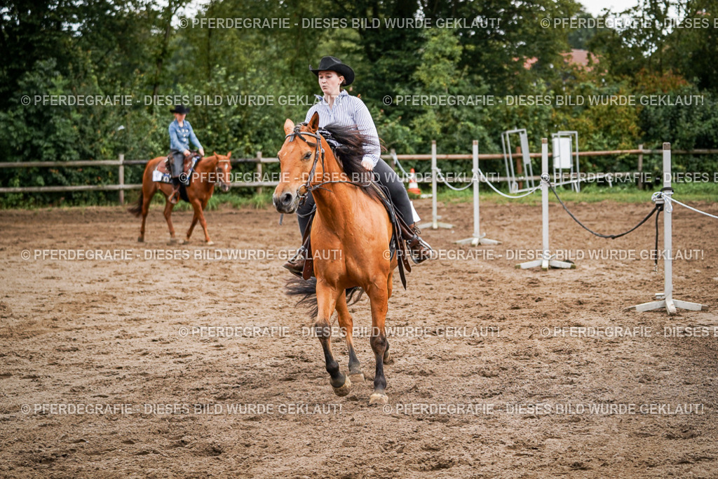 DSC08650 | Pferdegrafie