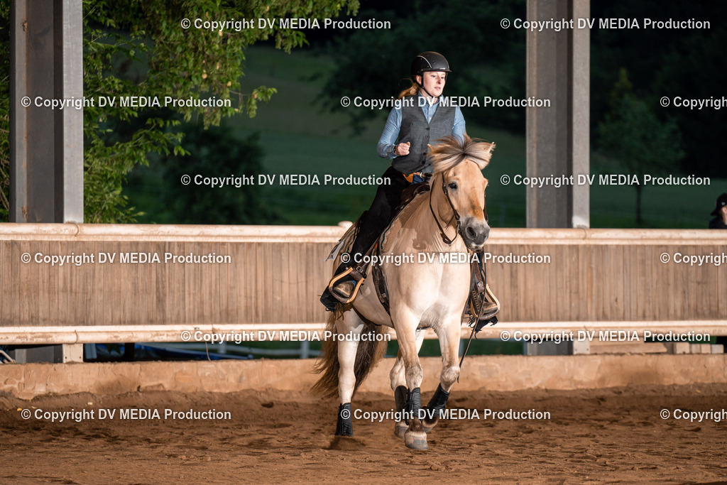 Erbach Tag 4-922 | dv-media-shop - Realisiert mit Pictrs.com