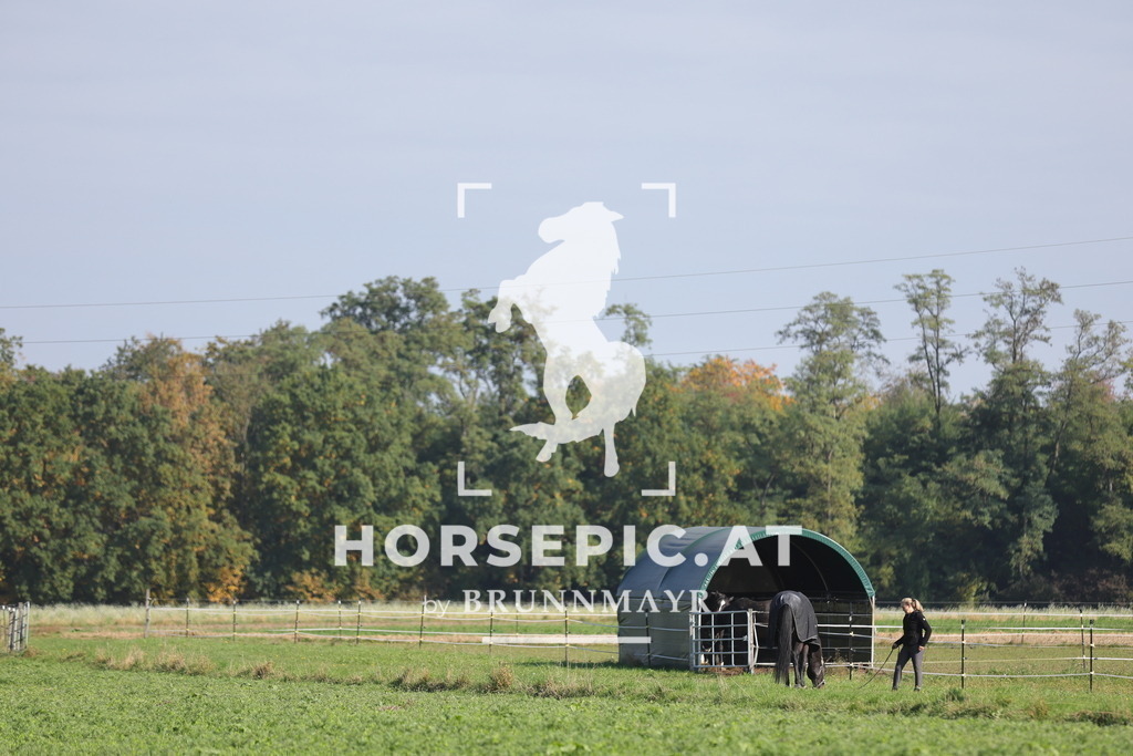 0P6A8052 | Willkommen bei Brunnmayr - Design & Fotografie – Ihrem Spezialisten für Reitturniere und Pferdeveranstaltungen in Oberösterreich, Salzburg und Bayern! Seit über 17 Jahren sind wir leidenschaftlich dabei.