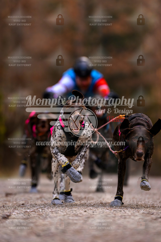 MompixPhotography_DM_AKDM_SO_2025_Wagen-14 | PayLife