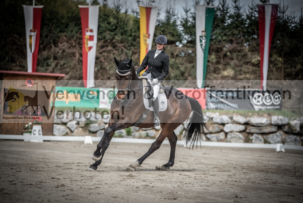 DSC_2255 | equestrian-live-com