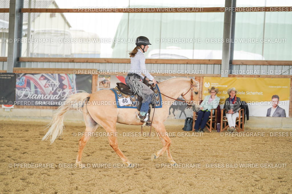 DSC03524 | Pferdegrafie