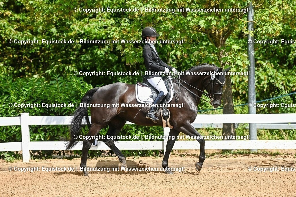 20230716_01_Dressurprüfung Kl.M_0004 | equistock