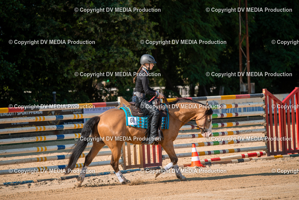 ZS2_8814 | dv-media-shop - Realisiert mit Pictrs.com