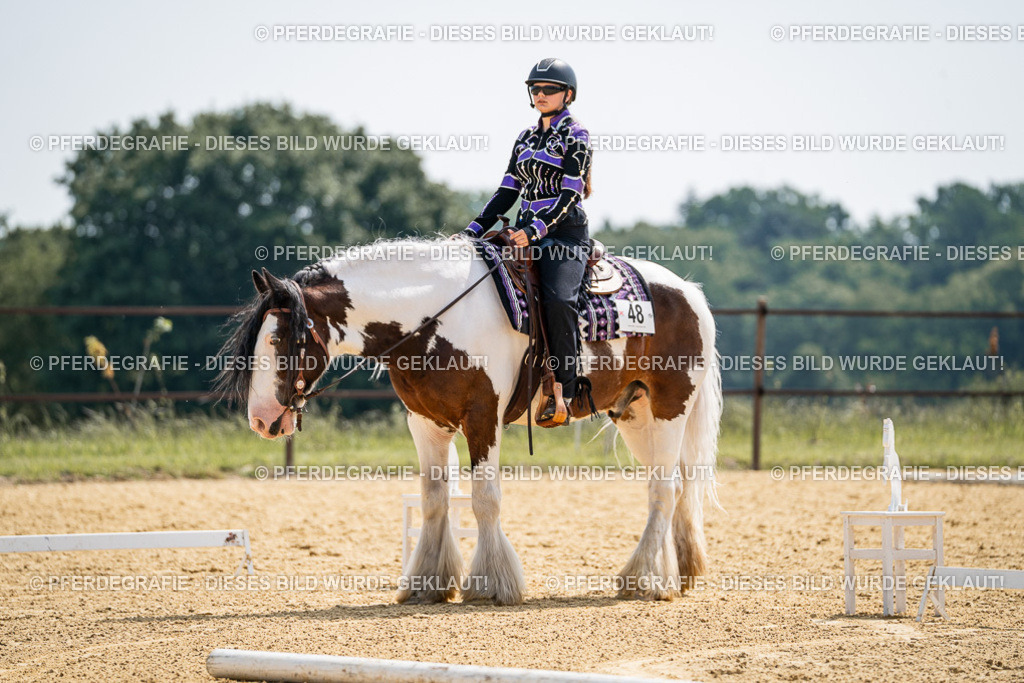 DSC00031 | Pferdegrafie