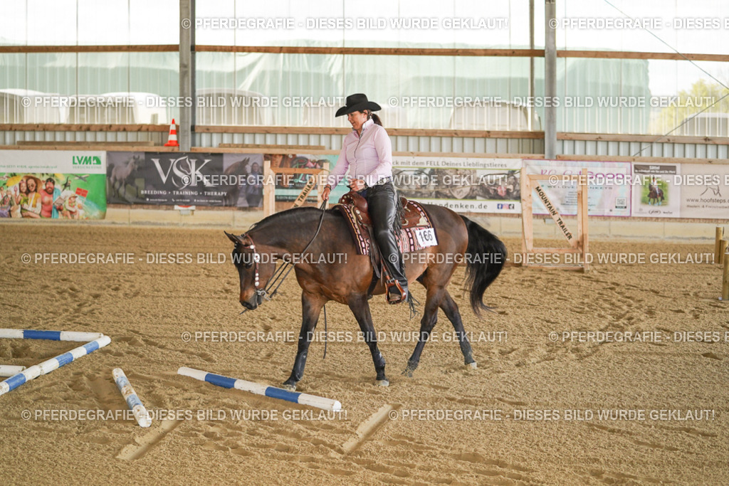 DSC00290 | Pferdegrafie