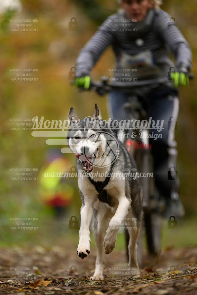 MompixPhotography_Bischwiller24_SA_VTT-47 | PayLife