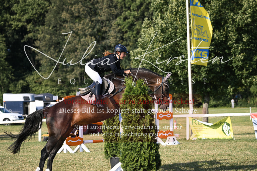 DSC_1673 | Pferde- und Turnierfotografie in Westsachsen. Pferdeportraits, Auftragszeichnungen und intuitive Kunst.