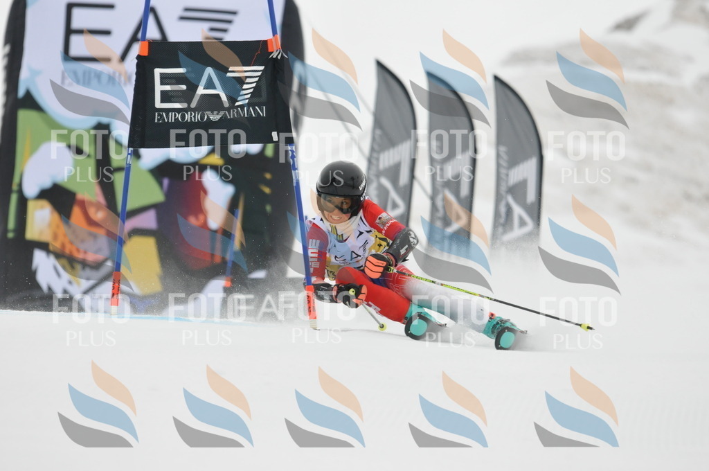 DSC_8432 | holidayphoto