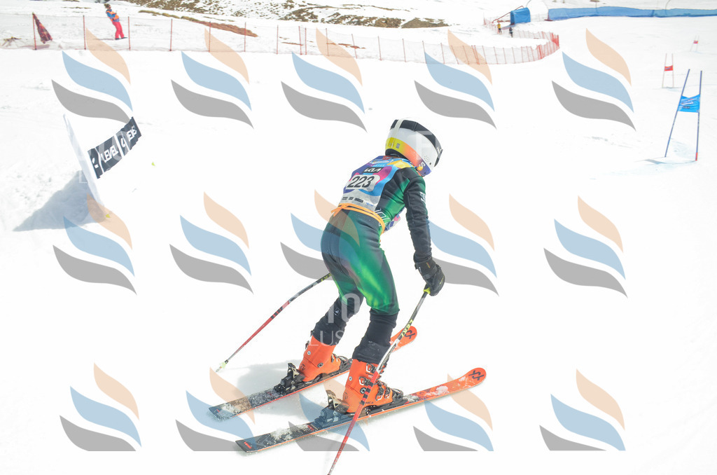 _ELE7210 | holidayphoto