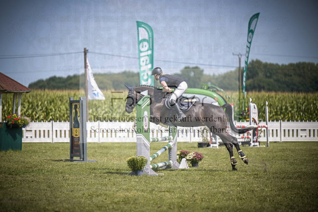 DOS_4795 | Entdecke hochwertige Reitturnierfotos von Foto Oger. Professionell, emotional und authentisch – jetzt Lieblingsmomente im Shop bestellen.Deutschlandweite Turnierfotografie. - Realisiert mit Pictrs.com