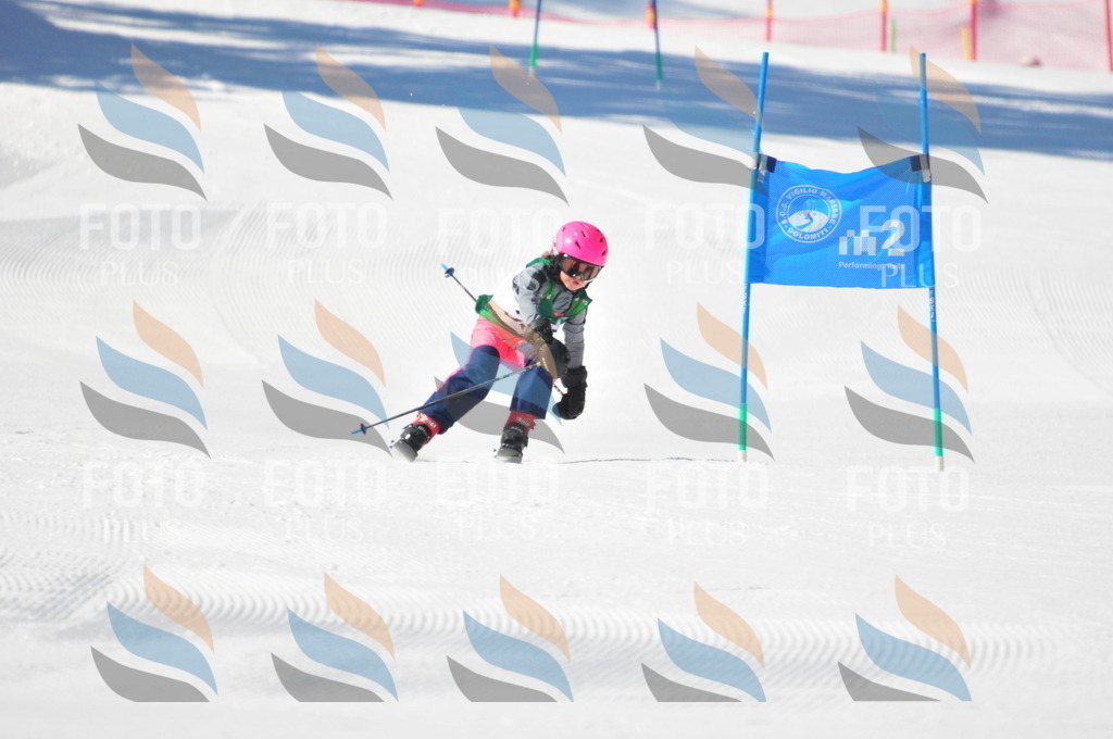 C2661 | holidayphoto