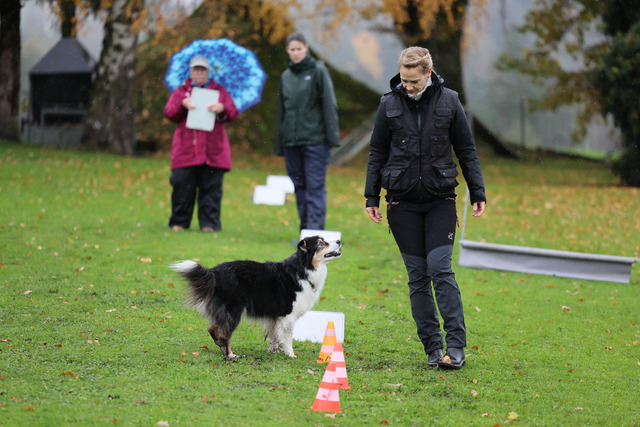 2025_Rally_Obedience_SM-17 | Ich fotografiere Hundeausstellungen, Sportanlässe, Zuchtstätten, Hundezucht, Hundeportrait, Lagotto - Realisiert mit Pictrs.com
