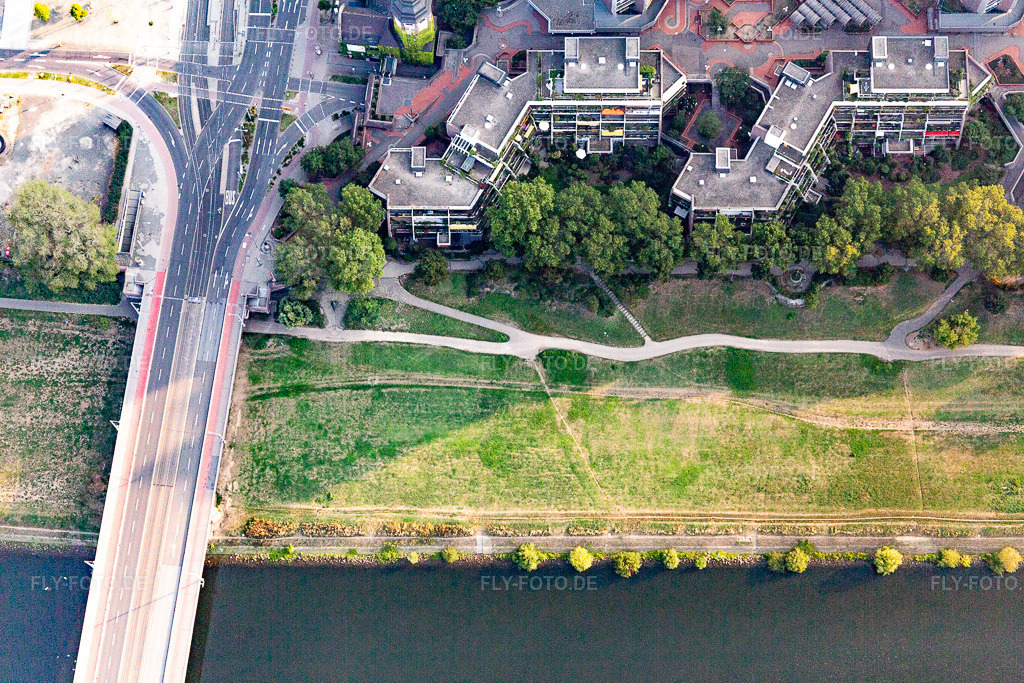 Luftbild: Neckarwiesen an der Kurpfalzbrücke und Neckarufer Nord im Ortsteil Neckarstadt-Ost in Mannheim im Bundesland Baden-Württemberg in Deutschland. Foto: IMG_116942.jpg vom 25.08.2019 durch Werner Riehm/FLY-FOTO.de