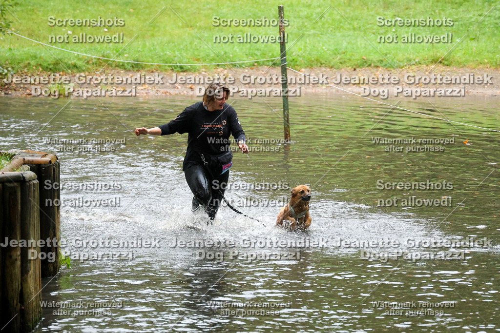 Dog Paparazzi -  SD1026-8258 | Dog Paparazzi Jeanette Grottendiek Fotografie & Videografie - Realisiert mit Pictrs.com