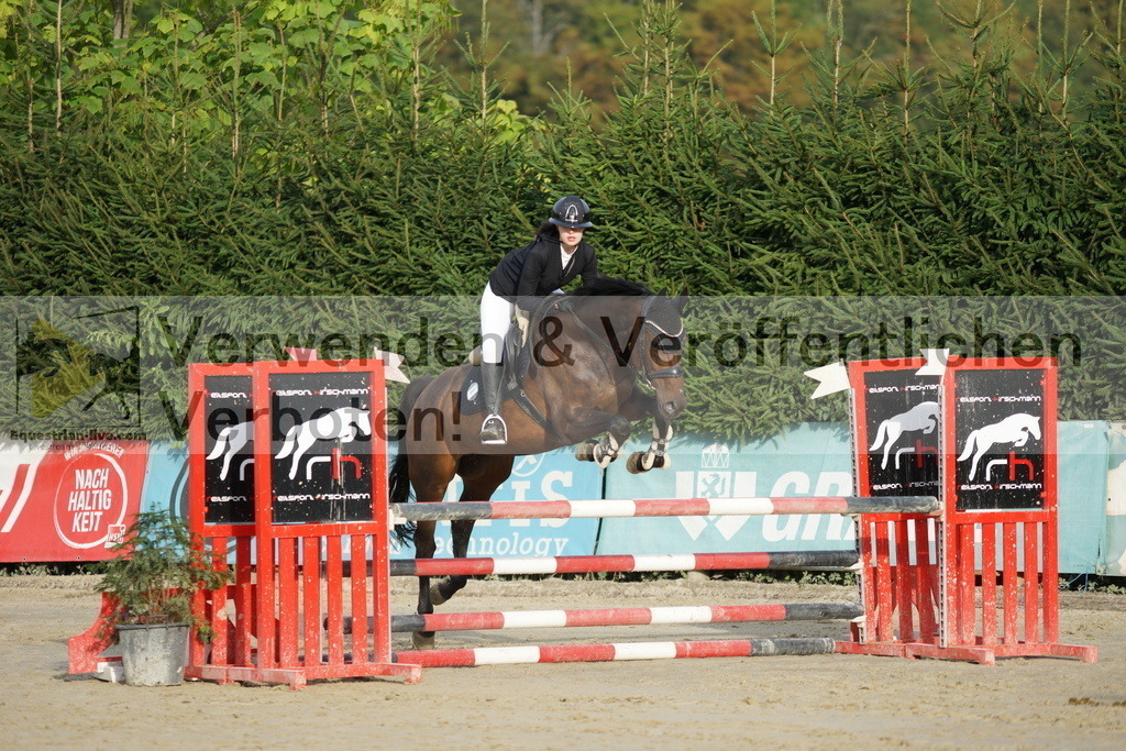 DSC02620 | equestrian-live-com